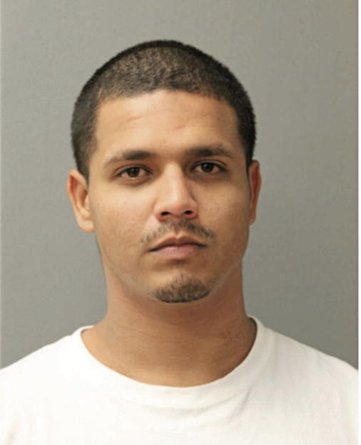 GERMAN J SANTIAGO AFANADOR, Cook County, Illinois