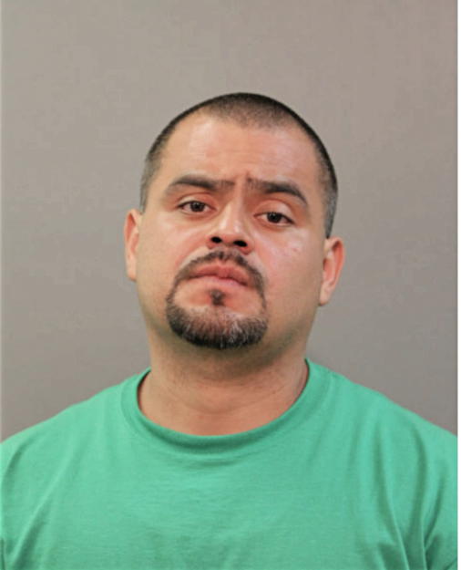 MIGUEL A TORRES, Cook County, Illinois