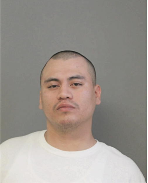 MARTIN A ABUNDEZ, Cook County, Illinois