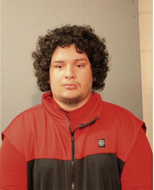 MICHAEL JULIO ALBUJA, Cook County, Illinois