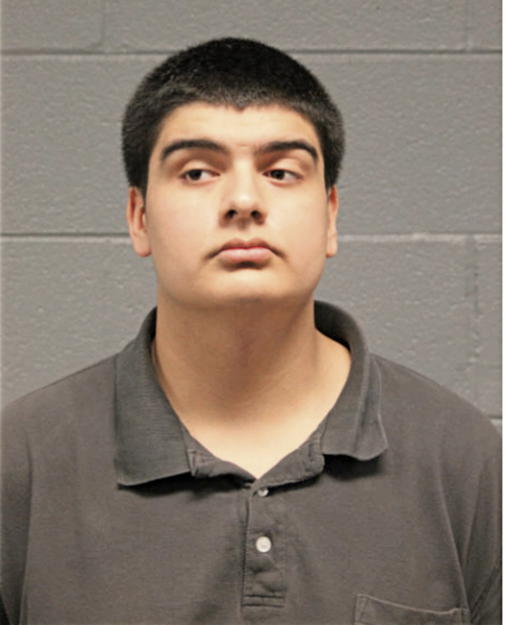 ARMANI G BARNES, Cook County, Illinois