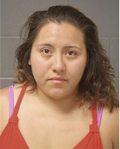 ELMA CAZARES, Cook County, Illinois