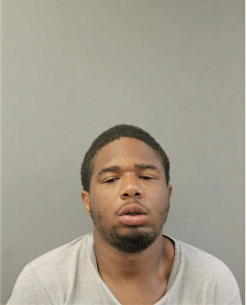 DANIEL L DIGGS, Cook County, Illinois