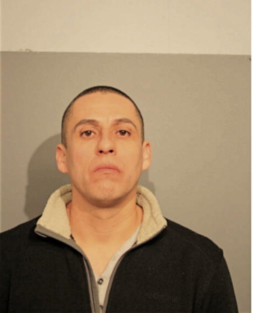 SERGIO GONZALEZ, Cook County, Illinois