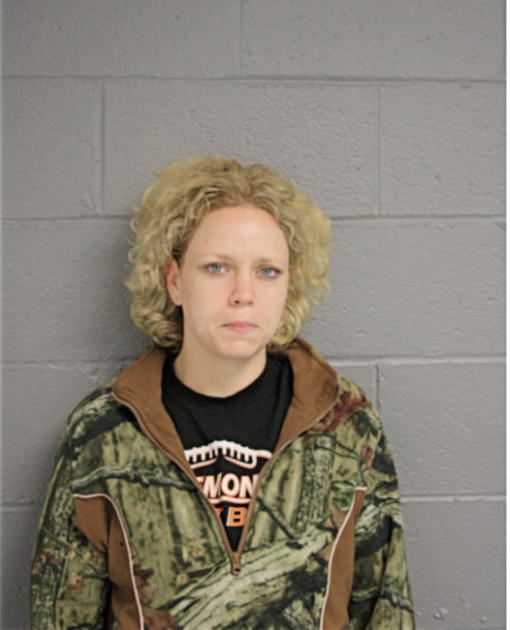 LEAH M GOODMAN, Cook County, Illinois