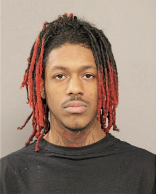 THEON V HENDERSON, Cook County, Illinois