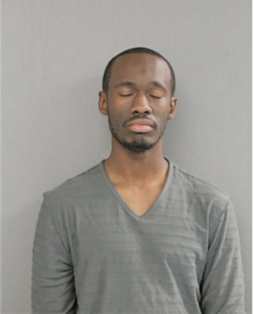 CHRISTOPHER L JOHNSON, Cook County, Illinois