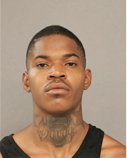 DARRELL A JOHNSON, Cook County, Illinois