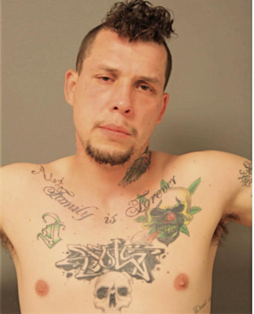 DAVID S JOHNSON, Cook County, Illinois