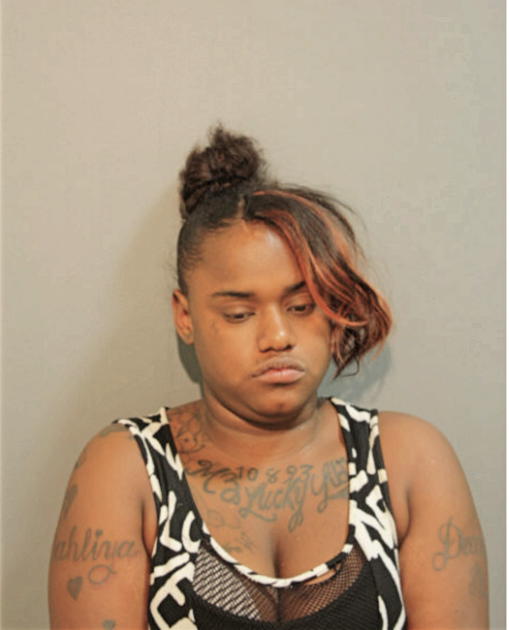 ELIZABETH ANN LACY, Cook County, Illinois