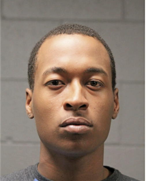 MICHAEL A LEE, Cook County, Illinois