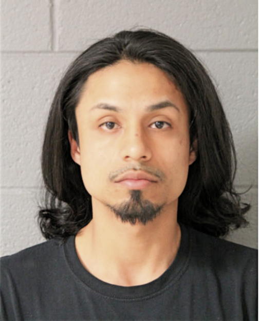 CHRISTOPHER A MALDONADO, Cook County, Illinois