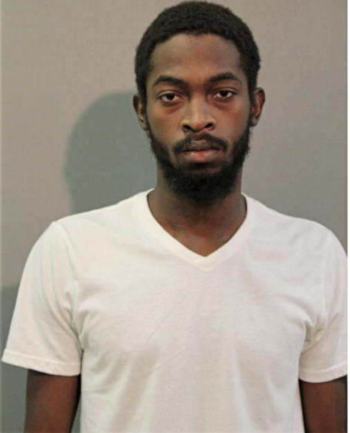DOMINIQUE L MCDONALD, Cook County, Illinois
