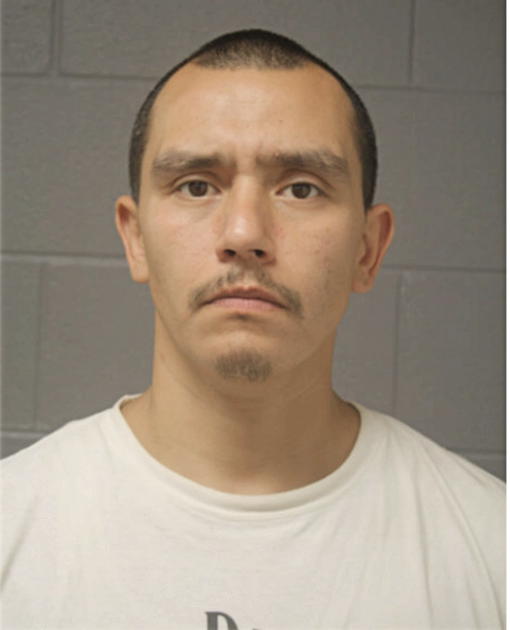 BALTASAR MORONES, Cook County, Illinois