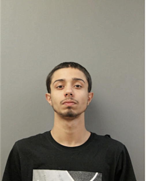 EDIN MUJKOVIC, Cook County, Illinois
