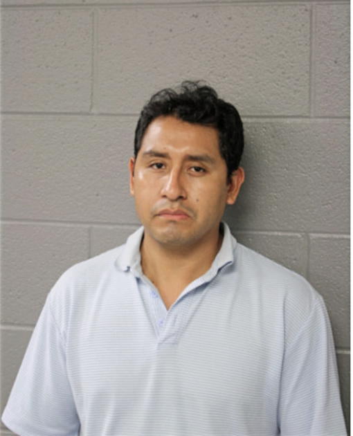 LUCIO OCOTL, Cook County, Illinois