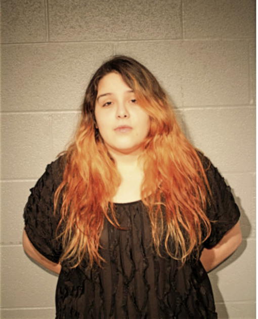 VIVIANA PUEBLA, Cook County, Illinois