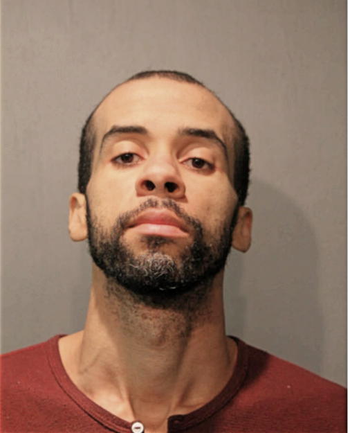 TYLER L ROBERTS, Cook County, Illinois