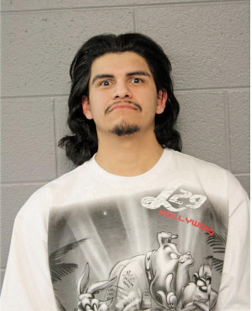 ANDRES VALENTIN RODRIGUEZ, Cook County, Illinois