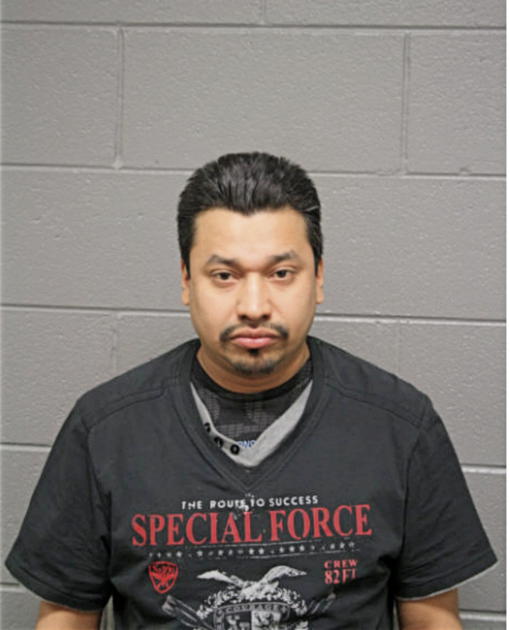 RENE SALAZAR-CORONA, Cook County, Illinois