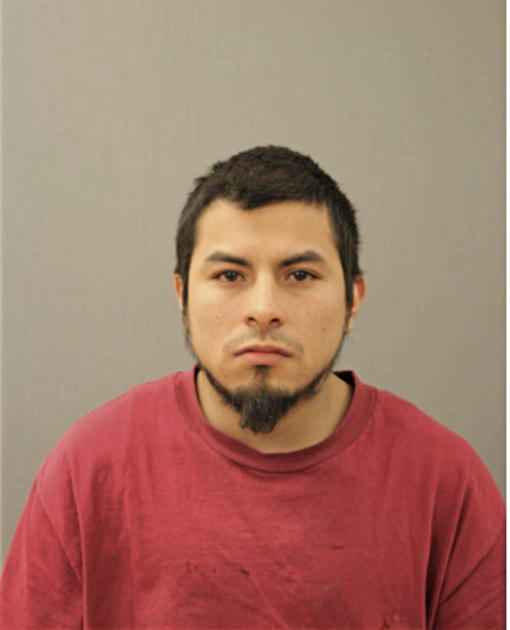 YONI SANCHEZ, Cook County, Illinois