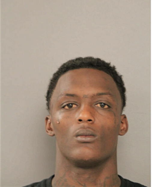 CHRISTOPHER D WATSON, Cook County, Illinois