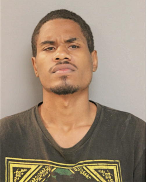 NICHOLAS T WILSON, Cook County, Illinois