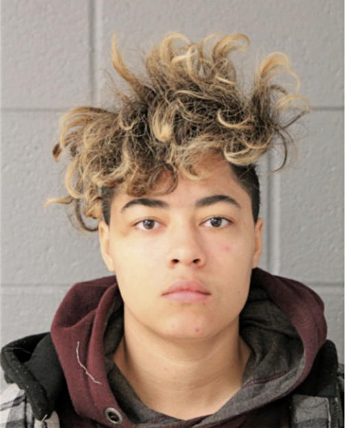 ZOE C WINSTON, Cook County, Illinois