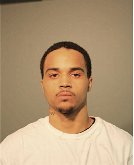 TERRELL D WYATT, Cook County, Illinois