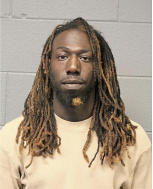 WILLIAM S ATKINS, Cook County, Illinois