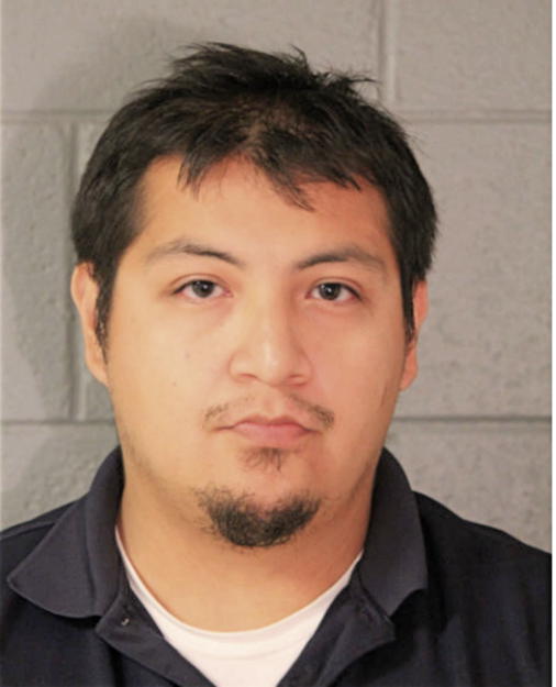 JONATHAN CASTANEDA, Cook County, Illinois