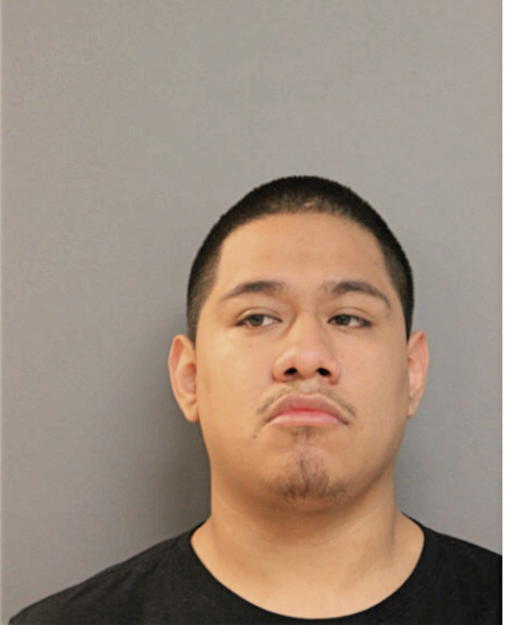 SANTIAGO CASTANEDA, Cook County, Illinois