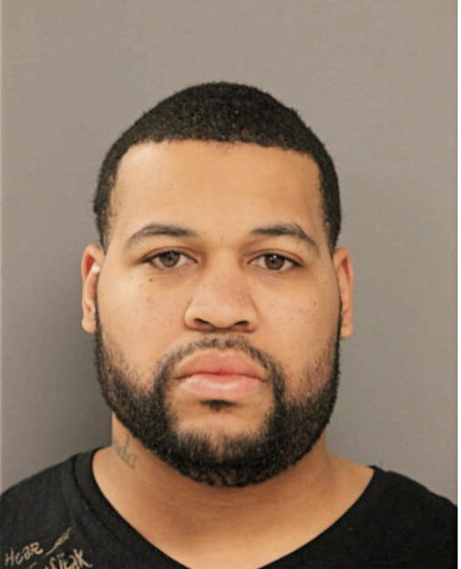 STEVEN D DAVIS, Cook County, Illinois