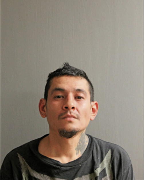 JOSE FLORES, Cook County, Illinois