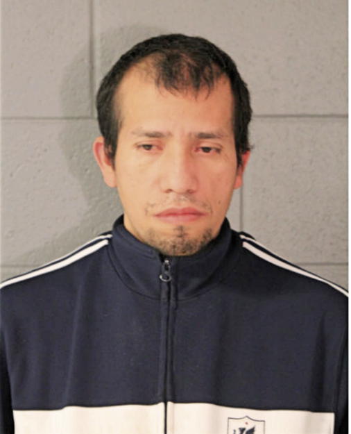 RAFAEL FLORES, Cook County, Illinois