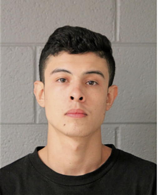 SERGIO FLORES, Cook County, Illinois