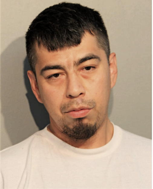 FRANCISCO J GARCIA, Cook County, Illinois