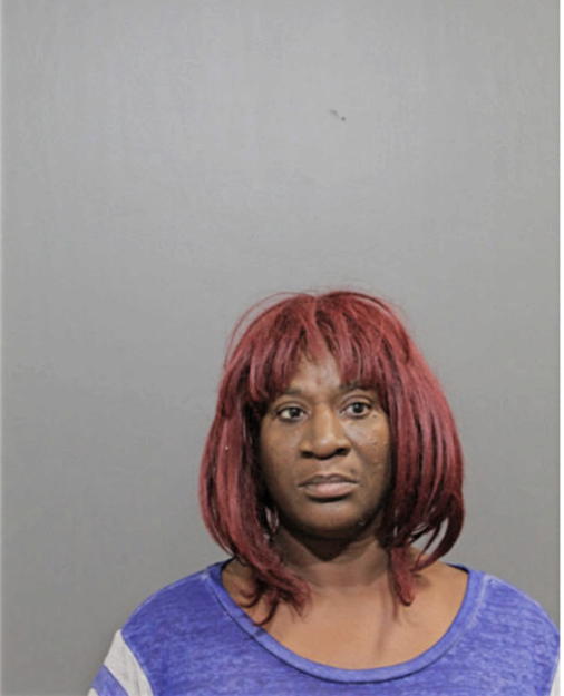 JOYCE HOLLIND, Cook County, Illinois