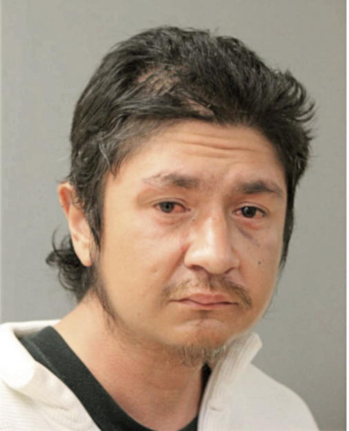 MARIO HUIZAR, Cook County, Illinois