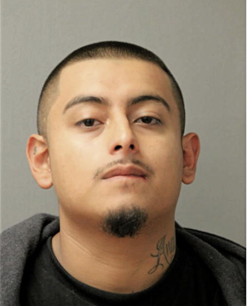 IRVING HURTADO, Cook County, Illinois