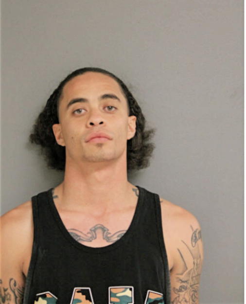 LOUIS T JOHNSON, Cook County, Illinois