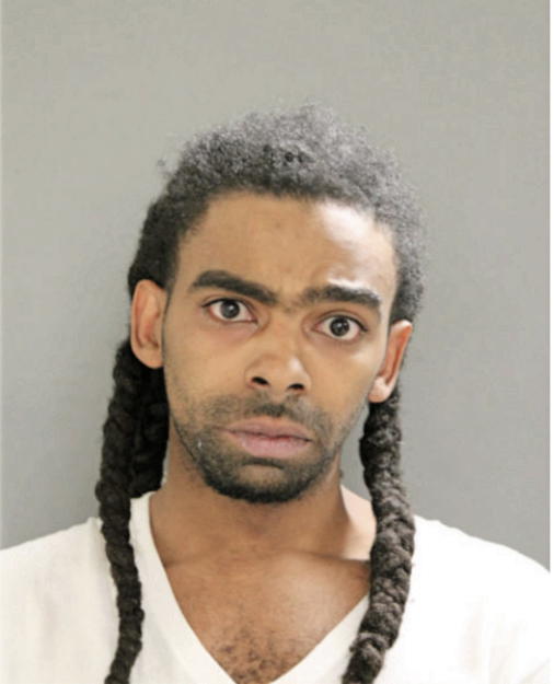 MICHAEL L KING, Cook County, Illinois