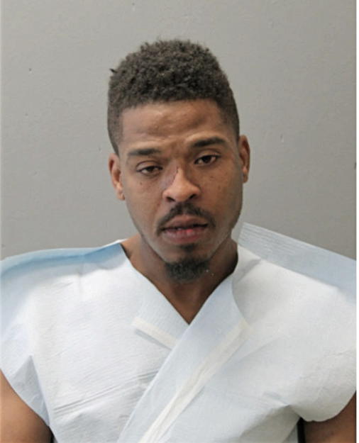 THOMAS A MITCHEM, Cook County, Illinois