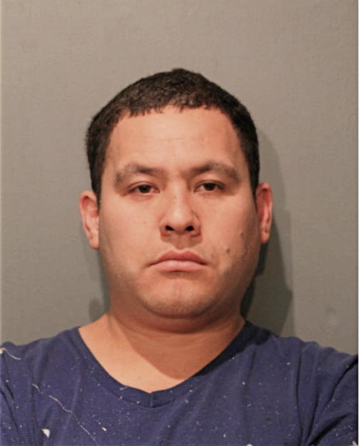 LUIS E ROBLES, Cook County, Illinois