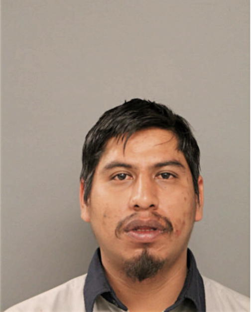 MIGUEL ANGEL ROMAN MATA, Cook County, Illinois