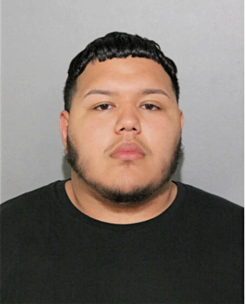 LUIS F SANCHEZ, Cook County, Illinois