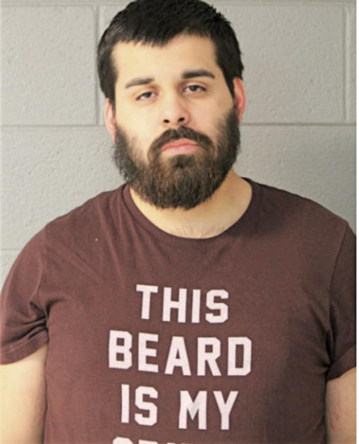 JULIAN A SOTO, Cook County, Illinois