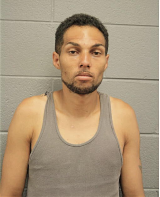 EDWIN VALLEJO, Cook County, Illinois
