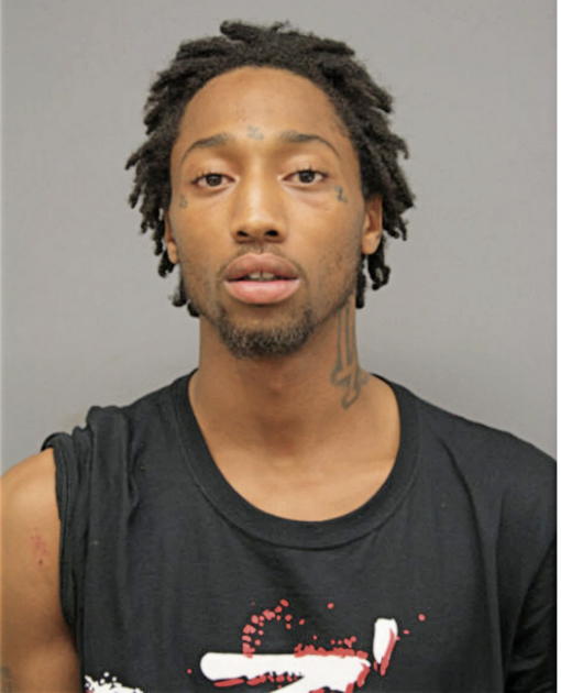 DEVIN J WARNICK, Cook County, Illinois