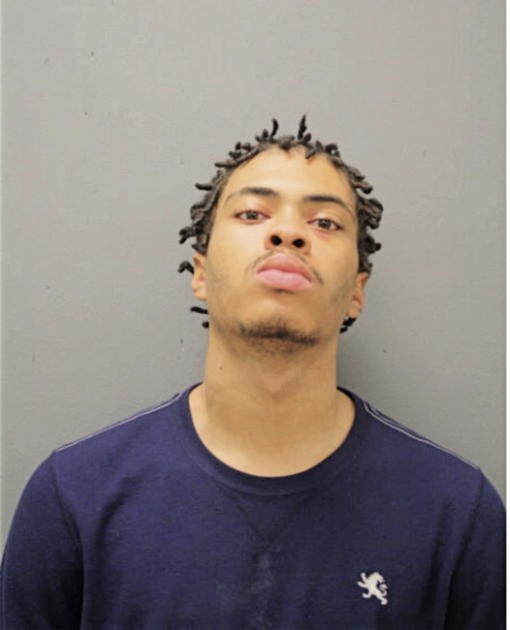 DESHAWN L WASHINGTON, Cook County, Illinois